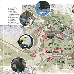 The California Trail