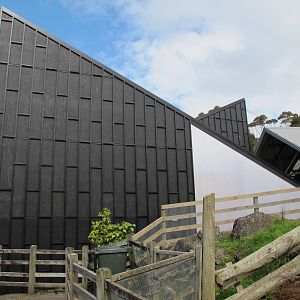 New Giraffe House - Auckland Zoo 2013