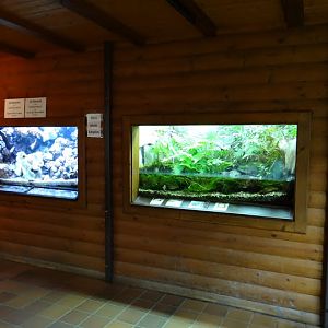 The aquarium and the terrarium
