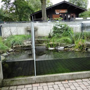 Containers of Emys orbicularis