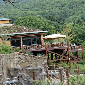 Restaurant above the pavilion Loxodonta africana