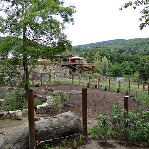 Paddock of Loxodonta africana
