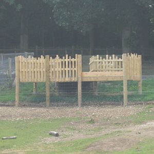 Viewing platform into Capybara/Rhea enclosure
