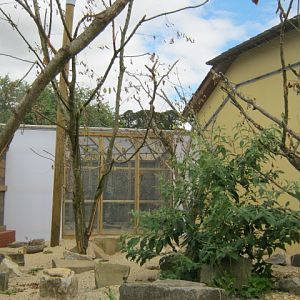 New Sun Conure aviary