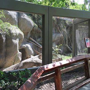 leopard exhibit