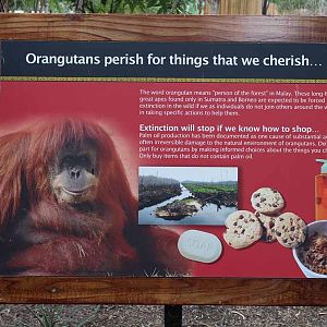 palm oil signage