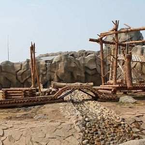 Manchurian black bear/Brown bear exhibit