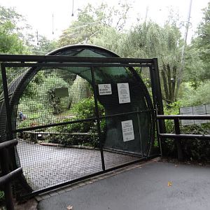 Gate to the aviary