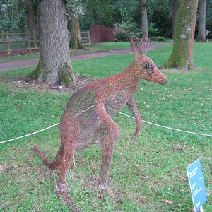 Wire Kangaroo artwork