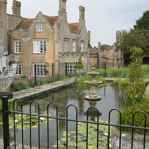 Back garden view 2012