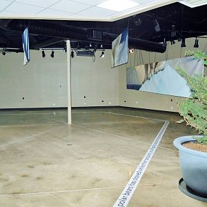 Life in the Cold - Empty Space (former Time Gallery exhibit)