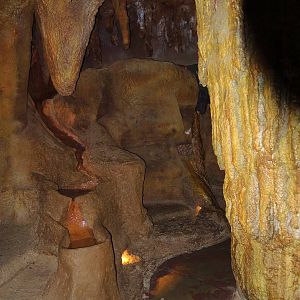 Wildlife Trek - Life in the Forest