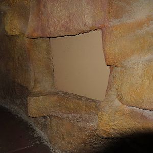 Wildlife Trek - Life in the Forest