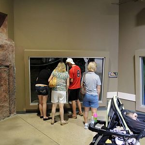 Wildlife Trek - Life in the Forest