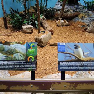 Wildlife Trek - Life in the Forest