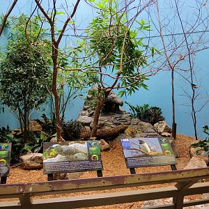 Wildlife Trek - Life in the Forest