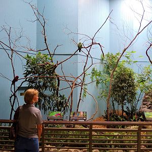 Wildlife Trek - Life in the Forest