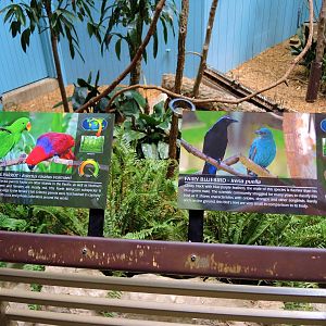 Wildlife Trek - Life in the Forest