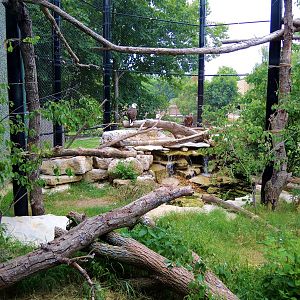 Wildlife Trek - Life in the Forest