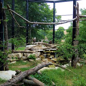 Wildlife Trek - Life in the Forest