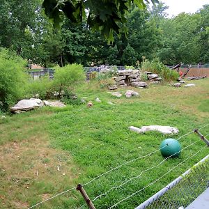 Wildlife Trek - Life in the Forest