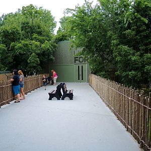 Wildlife Trek - Life in the Forest