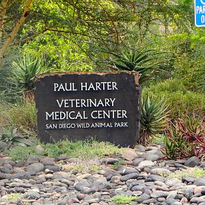 Tour of the Veterinary Medical Center