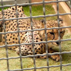 Tour of the Veterinary Medical Center
