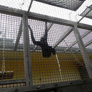 Tour of the Veterinary Medical Center