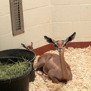 Tour of the Veterinary Medical Center