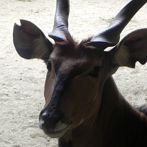 Tour of the Veterinary Medical Center