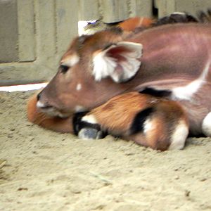 Tour of the Veterinary Medical Center