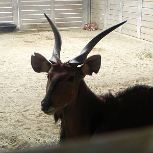Tour of the Veterinary Medical Center