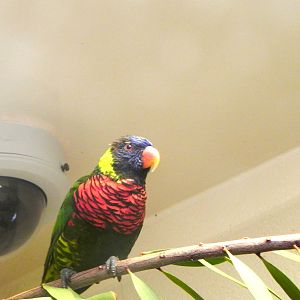 Tour of the Veterinary Medical Center