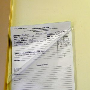 Tour of the Veterinary Medical Center