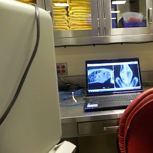 Tour of the Veterinary Medical Center