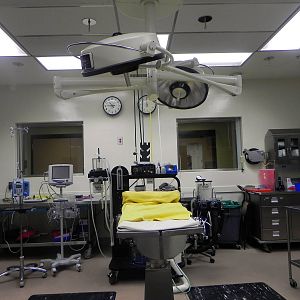 Tour of the Veterinary Medical Center