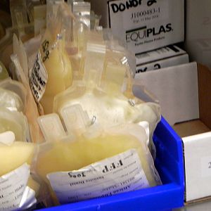 Tour of the Veterinary Medical Center