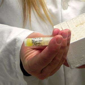 Tour of the Veterinary Medical Center