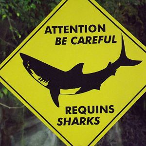 Be careful, sharks