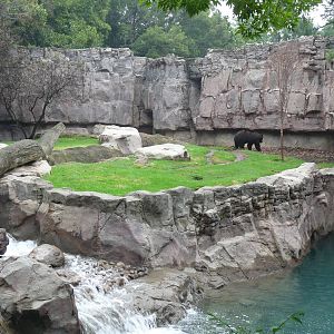 brown bear exhibit chapultepec zoo