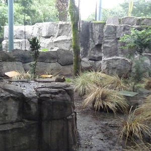 volcano rabbit exhibit chapultepec zoo