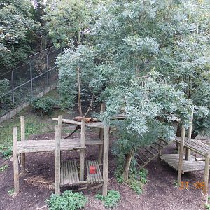 Half of Tiger enclosure