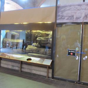Bronx Zoo- Komodo Dragon Exhibit (under construction)