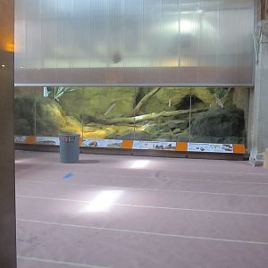 Bronx Zoo- Komodo Dragon Exhibit (under construction)