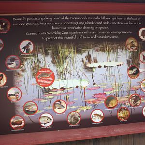 New England Farmyard- New Bunnell's Pond Signage
