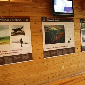 WOLF- Various Signage