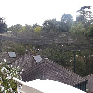 View From The Clifton Suite