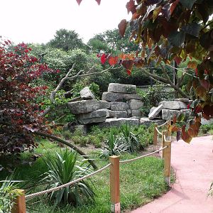 Nosy B? the new walk-through exhibit