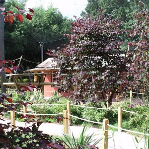 Nosy B? the new walk-through exhibit